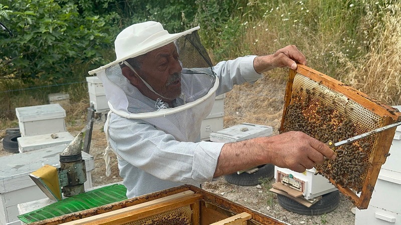 50 yıllık arıcı emekli başgardiyan 20 yıldır Avrupa'ya bal gönderiyor