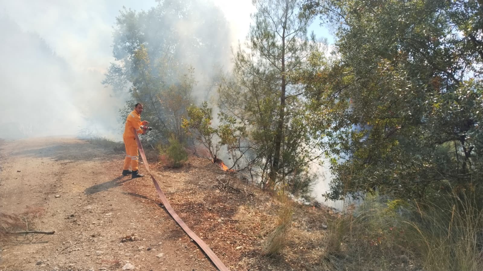 Keles'te Orman Yangınına Havadan ve Karadan Müdahale