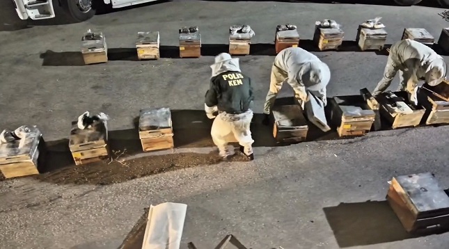 Yüksekova'da ballı uyuşturucu operasyonu: Kovanlardan 91 kilo uyuşturucu madde çıktı