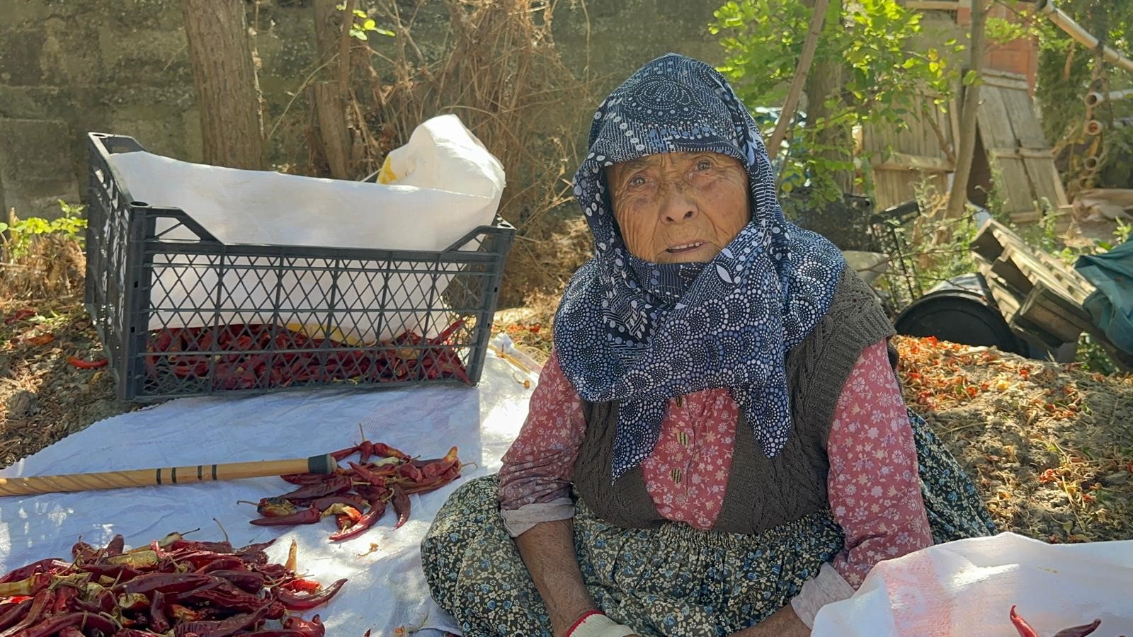 90'lık Anneden Evladına  Tarlada Destek