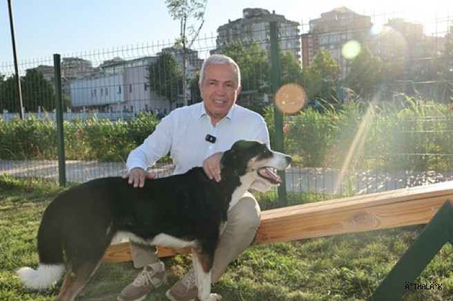 Nilüfer’de Can Dostlar Yeni Yuvalarına Kavuştu