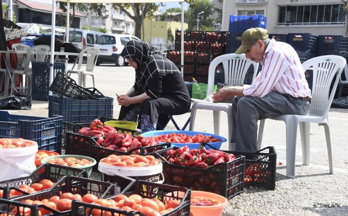 Osmangazi Belediyesi’nden Vatandaşlara Salça Desteği 