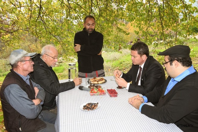 Osmangazi’de Üzümsü Meyvelerde Organik Tarım Seferberliği 