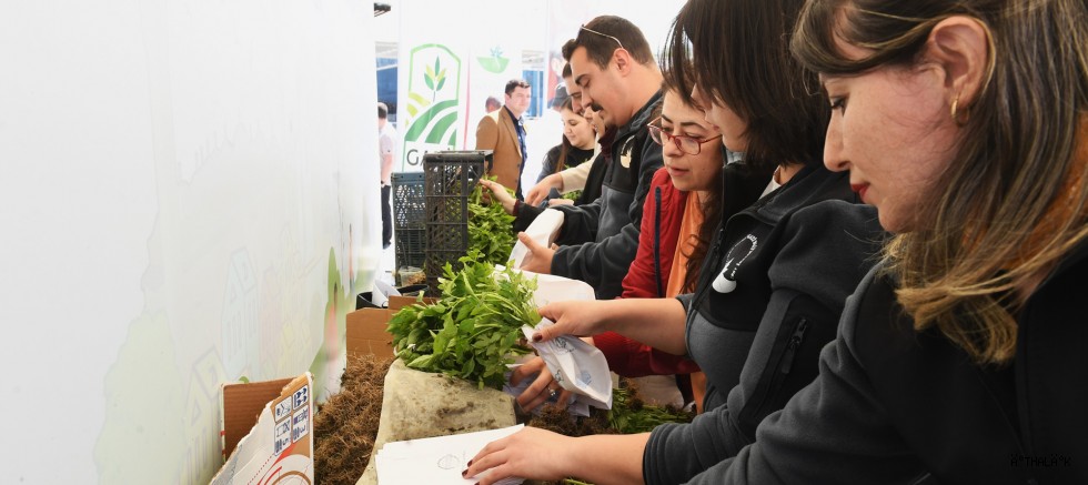 Osmangazi’deki Balkonlar Tarım Alanına Dönüşecek