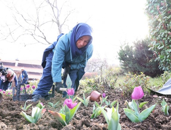 Osmangazi’nin Her Bir Noktası Çiçek Açtı 