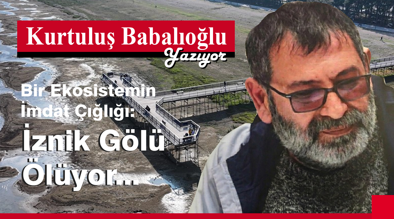 Bir Ekosistemin İmdat Çığlığı: İznik Gölü Ölüyor