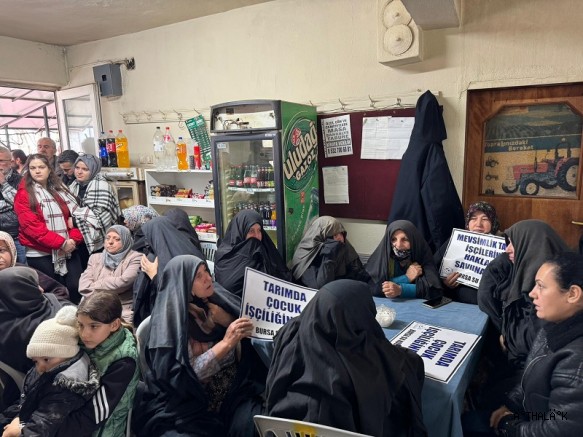 Sarıbal: İliç'ten Kirazlıyayla'ya Aynı Senaryo. Zehir, Yıkım, Cezasızlık