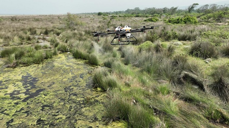 Sinekle Mücadele Yaz Aylarında Hız Kesmiyor