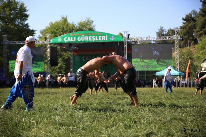Tarihi Çalı Güreşleri’nde 800 Pehlivan Er Meydanına Çıkıyor
