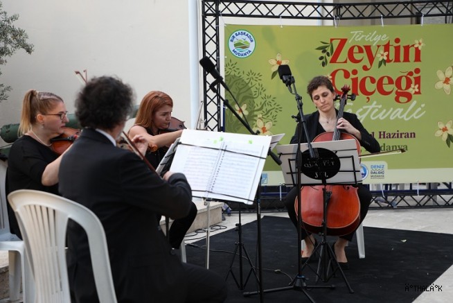 Tirilye’de Zeytinin Çiçeği Açtı, Festival Sokakları Sardı