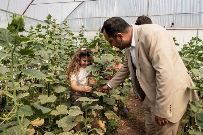 Uğur Böcekleri Doğayla Buluştu
