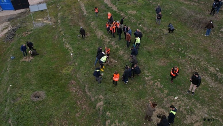 Unçukuru Mahallesi’nde Atıl Arazi Umut Ormanı’na Dönüşüyor