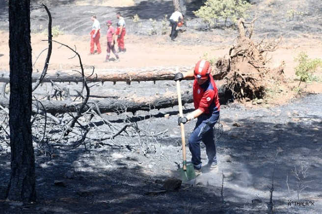 Yangına Karşı OSAD’dan Hızlı ve Koordineli Müdahale