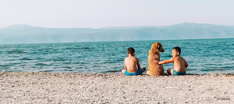 Yazın Renkleri Mudanya'da Yarışıyor