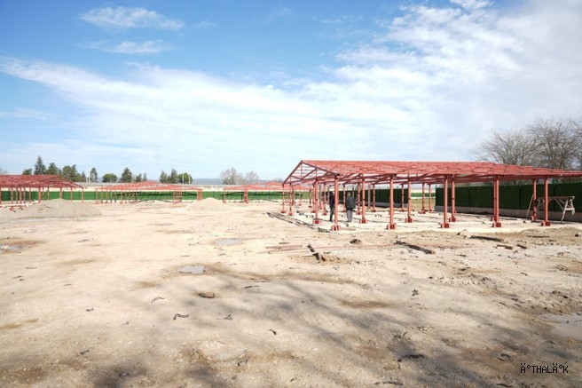 Yenişehir Hayvan Bakımevi ve Doğal Yaşam Alanı Projesi Artık Gün Sayıyor